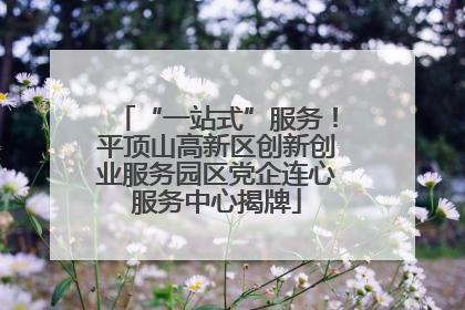 “一站式”服务！平顶山高新区创新创业服务园区党企连心服务中心揭牌
